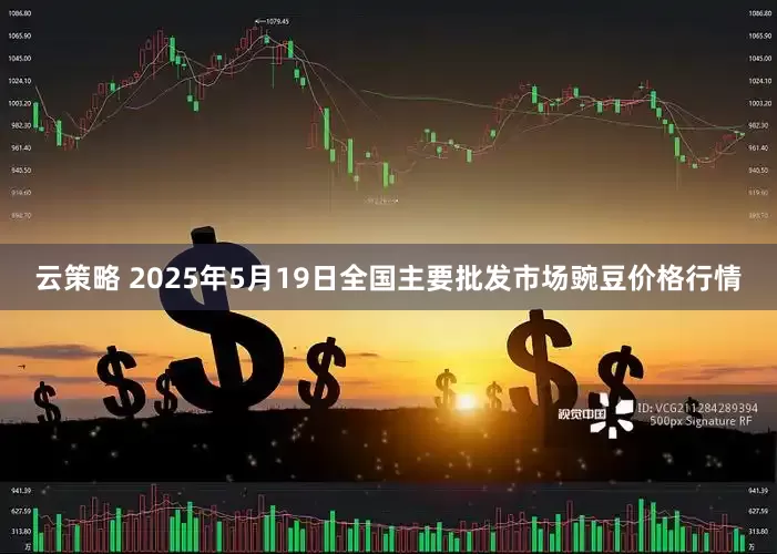 云策略 2025年5月19日全国主要批发市场豌豆价格行情