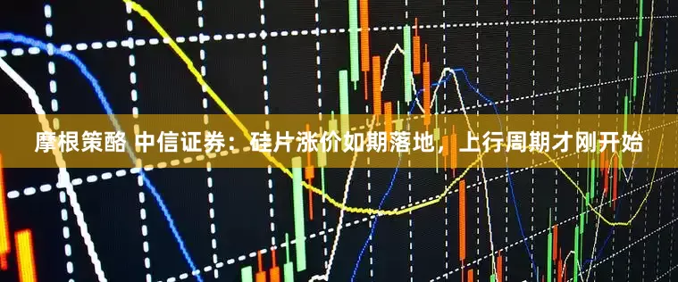 摩根策酪 中信证券：硅片涨价如期落地，上行周期才刚开始